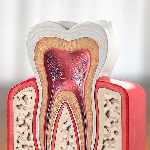 Endodontics in Danforth